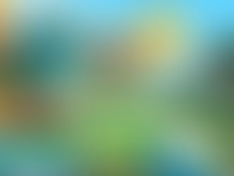 Pokémon Go: Eventos Digitais e Físicos!