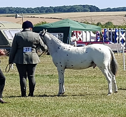 Barney show ring.png