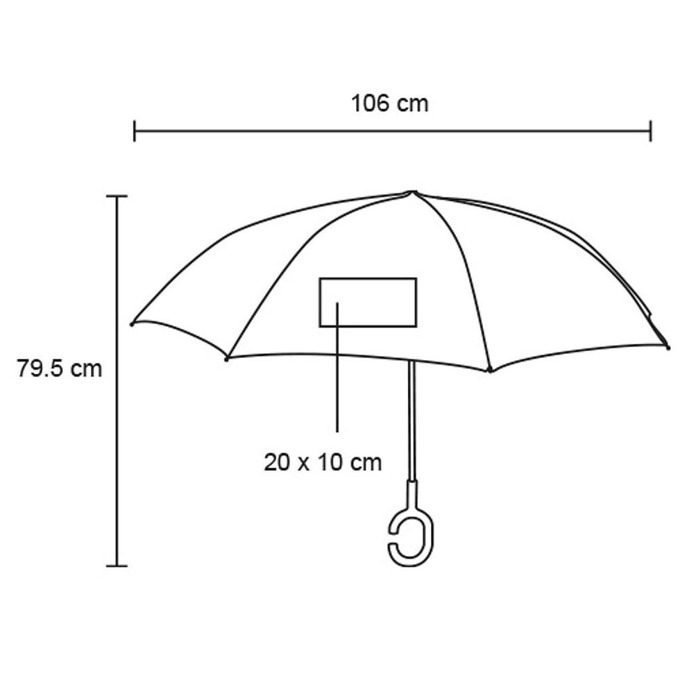 Miniatura: Rapubex
