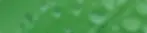 grass1.webp