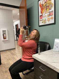 Working with Remy- yourkie puppy