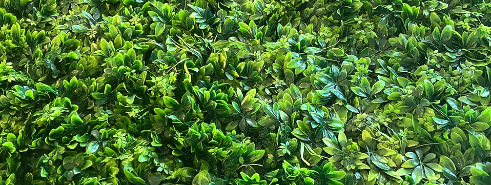 Flower Wall Rental