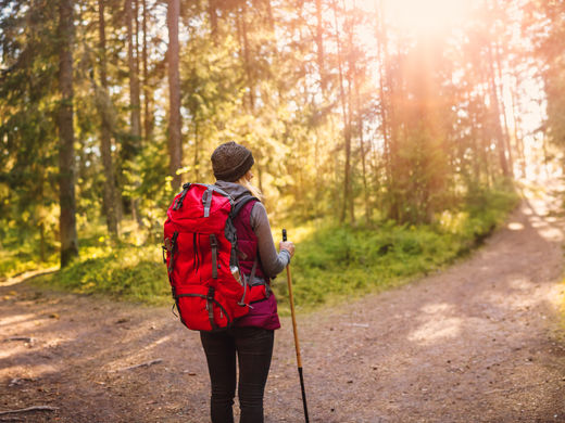 Pension vs. Lump Sum: Making the Right Choice for Your Retirement