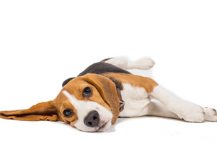 2025 Halftime Update