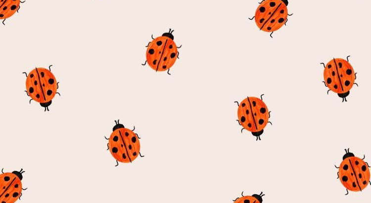 Welcome to the Jungle