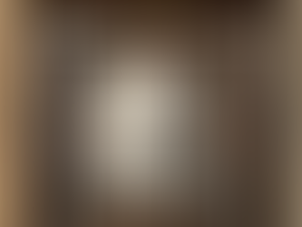 藤田嗣治の技巧