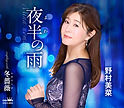 野村美菜「夜半の雨」