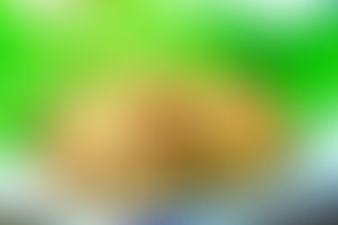 Tofu Hamburger Steak