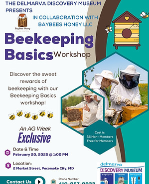 Beekeeping Basics with BayBees LLC.jpg