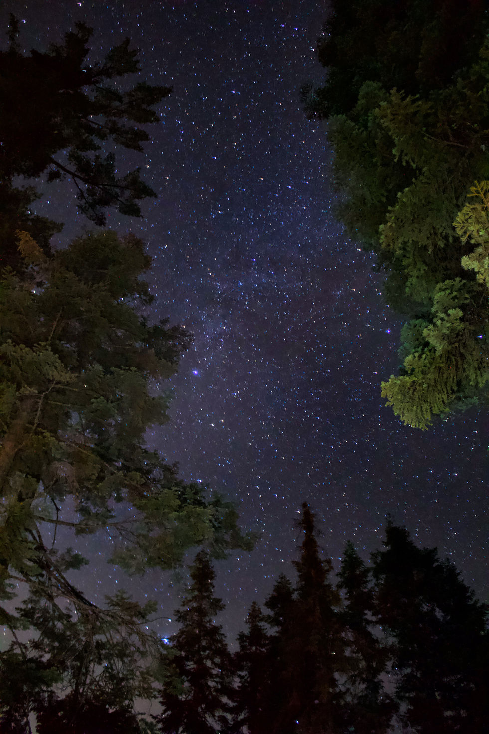 Stars