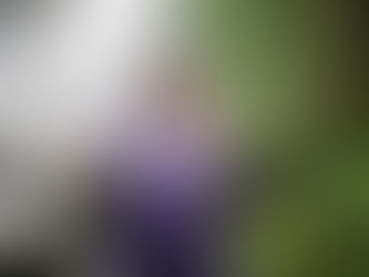 Listening With Your Feet