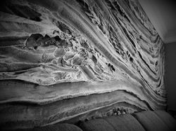 DSCN1994 (2).JPG