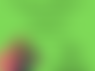 Women’s Wellbeing Workshop for Over 40s in Cambridgeshire | Empower & Elevate