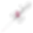 Cannula