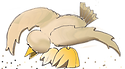 Bird3.png