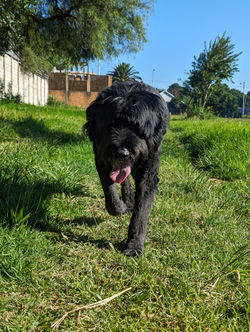 PXL_20240221_055744321