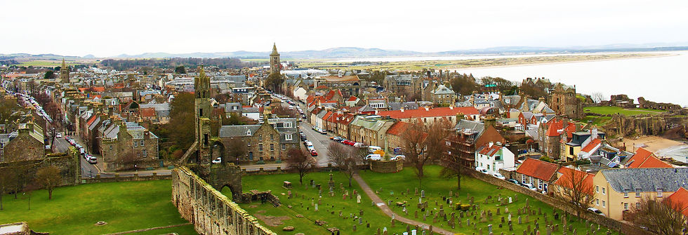 The amazing view from the tower.