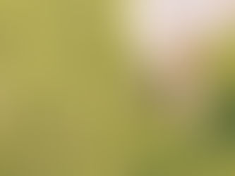 Barefoot on the Grass: a blog about anxiety 