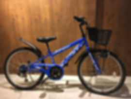 子供車写真.jpeg
