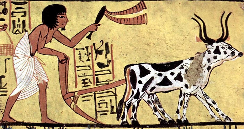 Ciężkie początki i następstwa rolnictwa