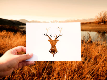 How to Plan a Stag Do?