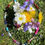 Thumbnail: Personalised Rainbow Necklace
