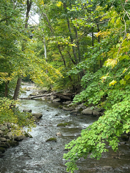Bear Creek in Friendsville, Maryland