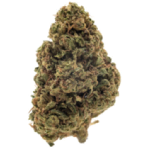 SOUR TANGIE - SATIVA | 28G