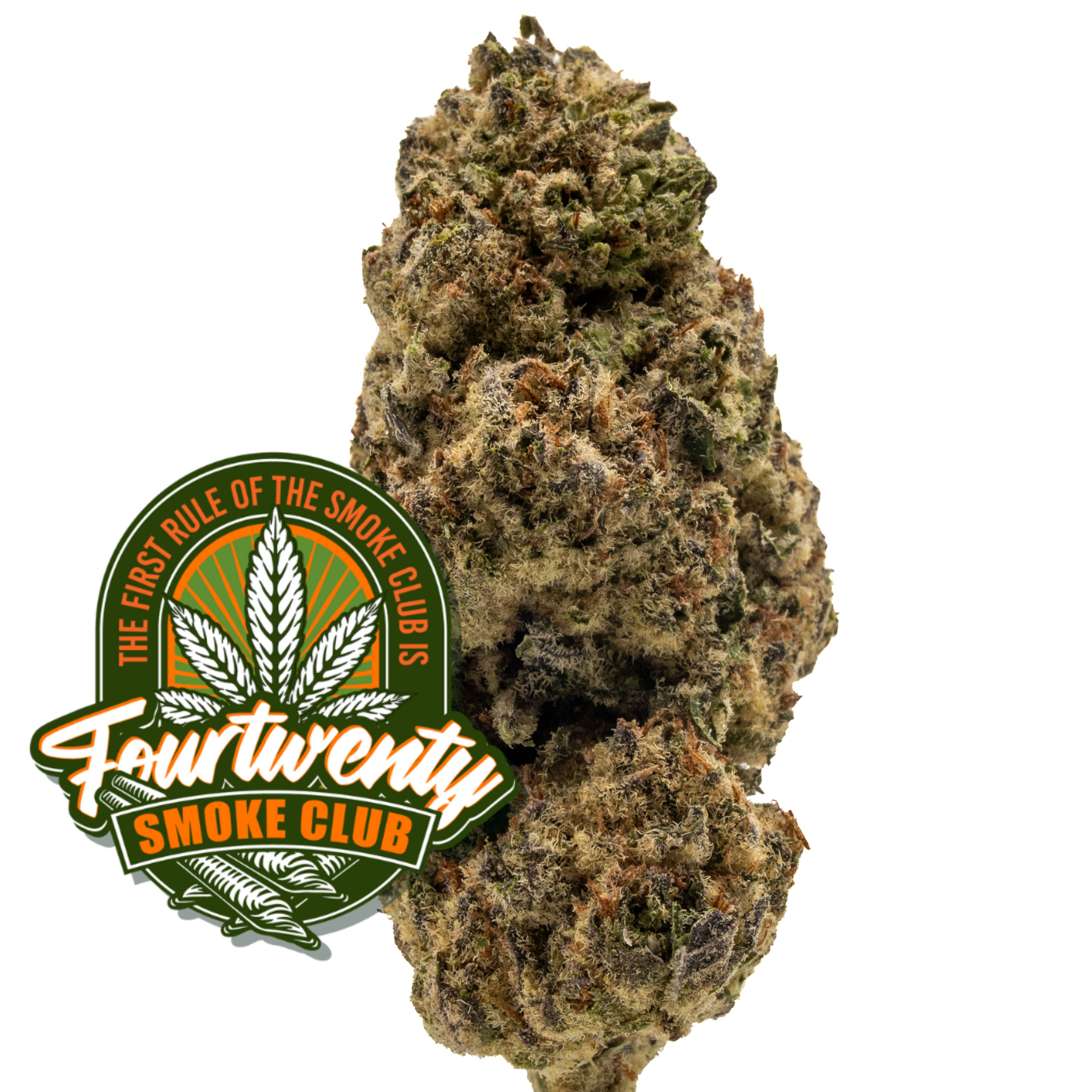 China White Premium Flower