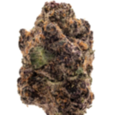 BLOCKBERRY - HYBRID