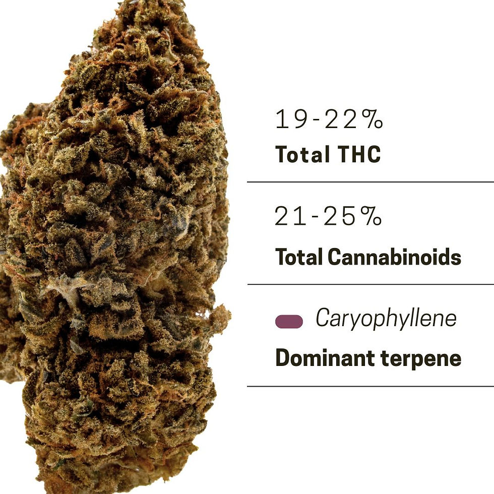 Thumbnail: KEY LIME PIE - INDICA
