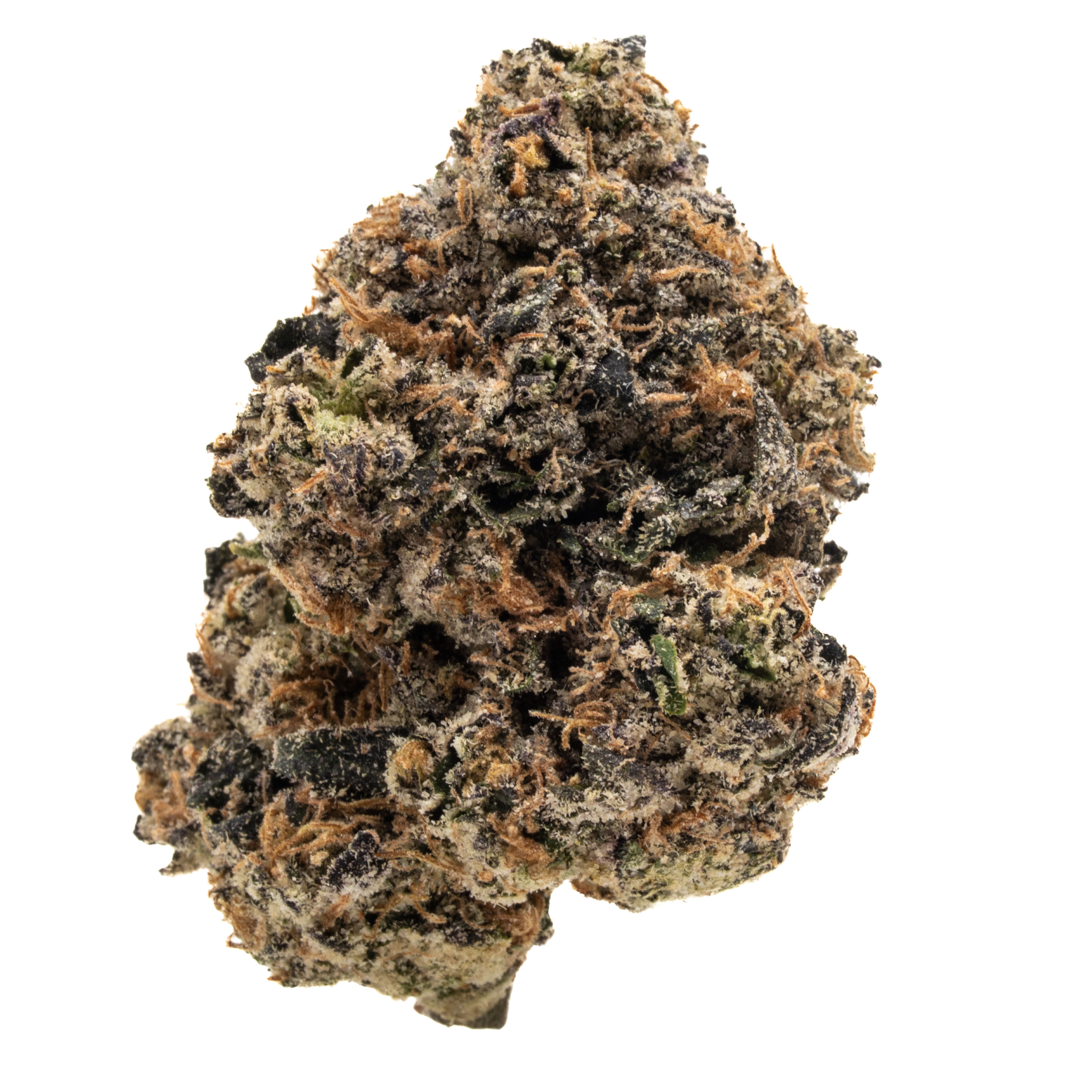 ARCHIVE RUNTZ - HYBRID