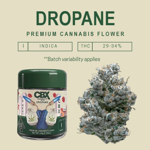 CBX - PREMIUM FLOWER JAR | 3.5G | My420Plug