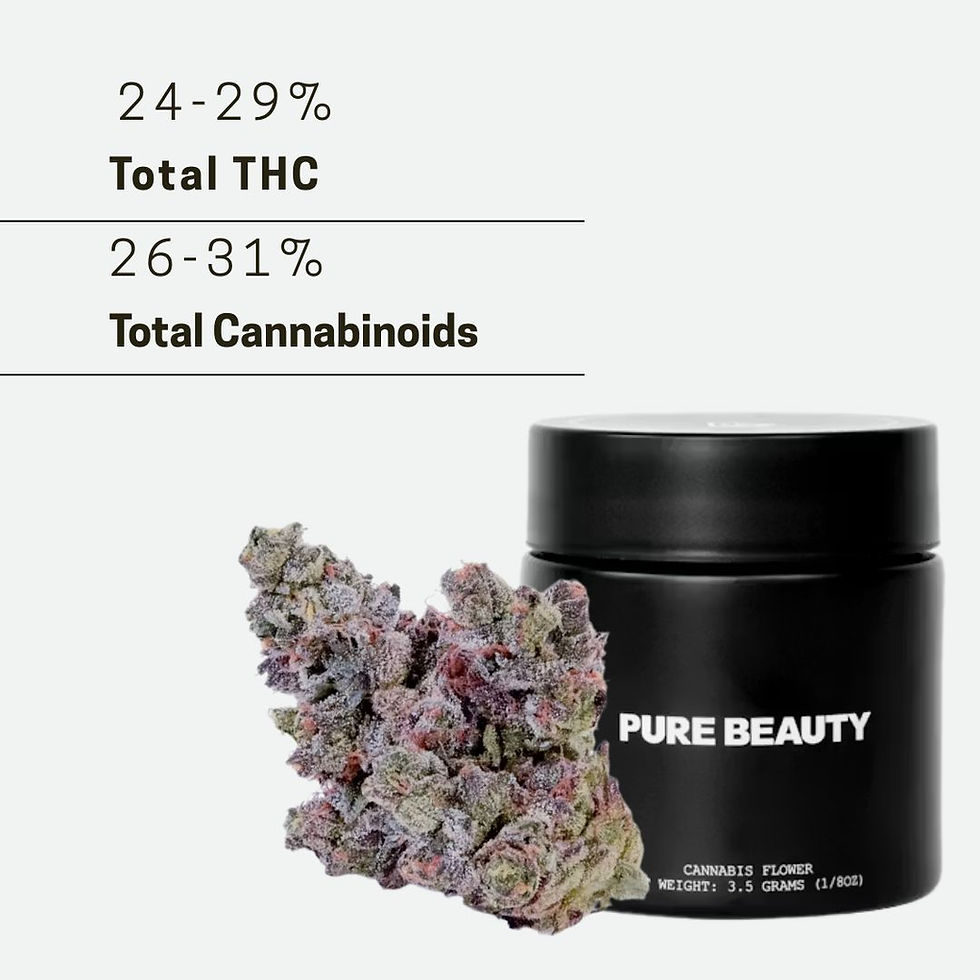 Thumbnail: PURE BEAUTY INDOOR FLOWER JAR | 3.5G
