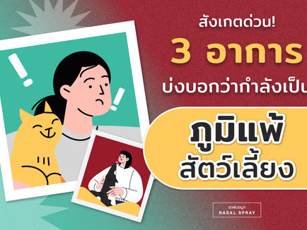 3 อาการที่บ่งบอกว่าคุณกำลังเป็นภูมิแพ้สัตว์เลี้ยง