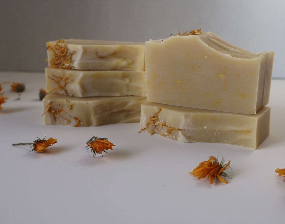 Thumbnail: Calendula