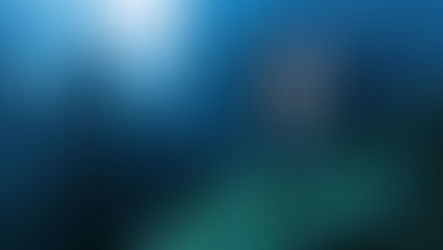 Исследование Магических Грибов / Псилоцибина