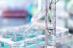 Pipetting Samples and Test Tube