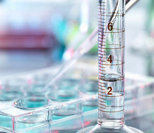 Örneklerin ve Test Tüpünün Pipetlenmesi