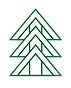 Pine Tree.png