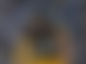 Best Bets 10/16/2025