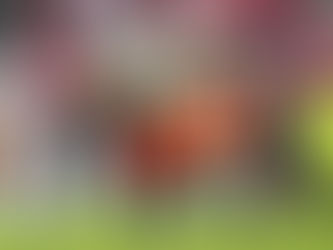 2025 COLLEGE FOOTBALL SATURDAY BEST BETS: WEEK 6