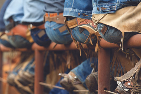 1652974573_1568658475_1568402387_Wrangler_e.jpg