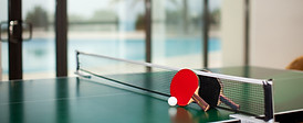 Ping Pong Table