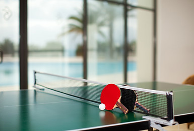 Ping Pong Table
