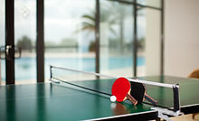 Ping Pong Table