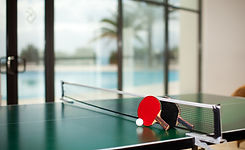 Ping Pong Table