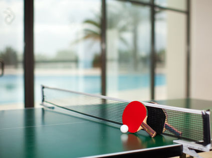 Table Tennis, Billiard Hall and other outdoor games
