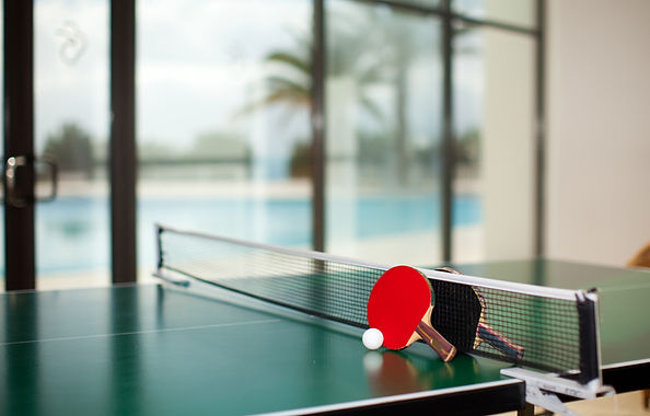 Table Tennis Setup