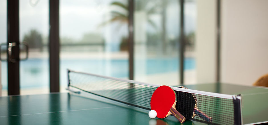 Ping Pong Table